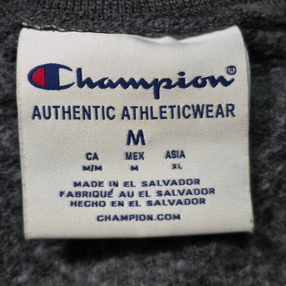 Champion MIT Sweatshirt Men’s Medium Gray Fleece Crewneck College - Picture 3 of 6